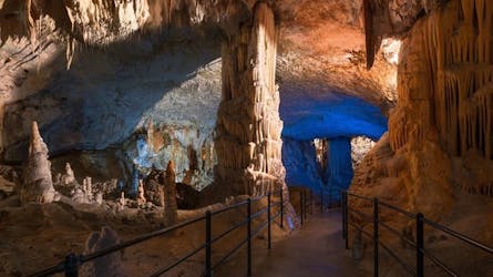 Small group tour to Lipica Stud Farm and Postojna Caves from Zagreb